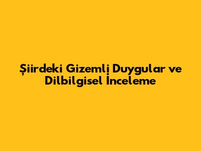 Şiirdeki Gizemli Duygular ve Dilbilgisel İnceleme