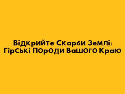 Відкрийте Скарби Землі: Гірські Породи Вашого Краю