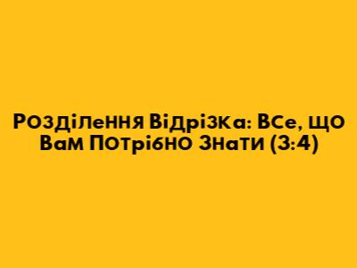 Розділення Відрізка: Все, що Вам Потрібно Знати (3:4)