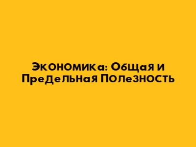 Экономика: Общая и Предельная Полезность