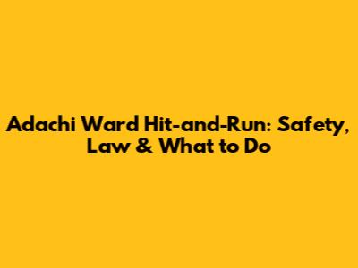Adachi Ward Hit-and-Run: Safety, Law & What to Do
