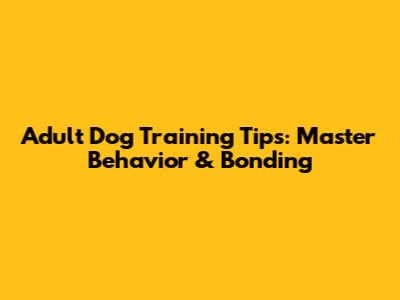 Adult Dog Training Tips: Master Behavior & Bonding