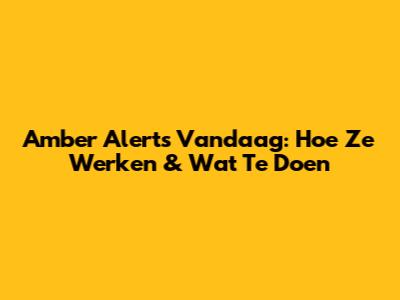 Amber Alerts Vandaag: Hoe Ze Werken & Wat Te Doen