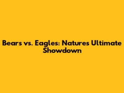 Bears vs. Eagles: Nature's Ultimate Showdown