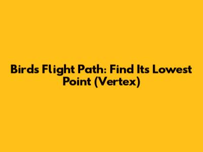 Bird's Flight Path: Find Its Lowest Point (Vertex)