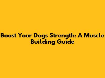 Boost Your Dog's Strength: A Muscle Building Guide
