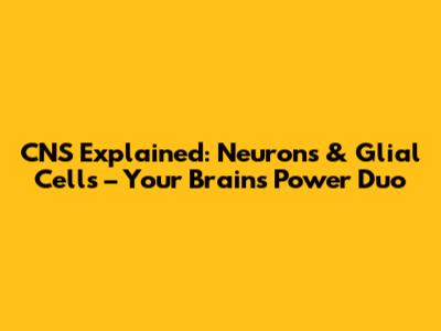CNS Explained: Neurons & Glial Cells – Your Brain's Power Duo
