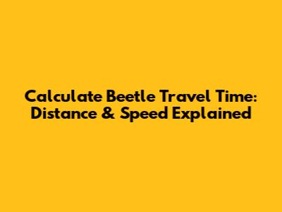 Calculate Beetle Travel Time: Distance & Speed Explained