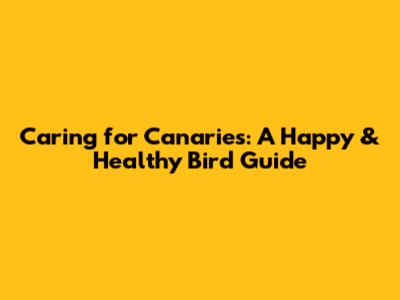 Caring for Canaries: A Happy & Healthy Bird Guide