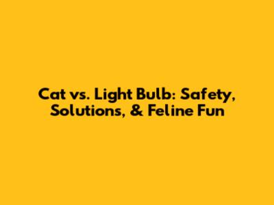 Cat vs. Light Bulb: Safety, Solutions, & Feline Fun