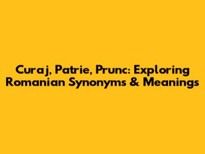 Curaj, Patrie, Prunc: Exploring Romanian Synonyms & Meanings