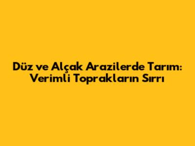 Düz ve Alçak Arazilerde Tarım: Verimli Toprakların Sırrı