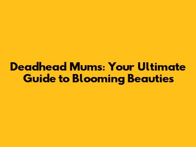 Deadhead Mums: Your Ultimate Guide to Blooming Beauties