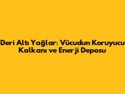 Deri Altı Yağlar: Vücudun Koruyucu Kalkanı ve Enerji Deposu