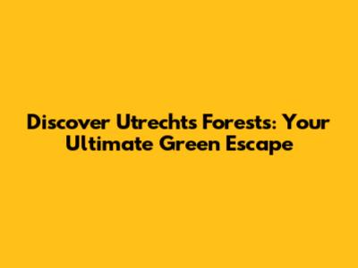 Discover Utrecht's Forests: Your Ultimate Green Escape