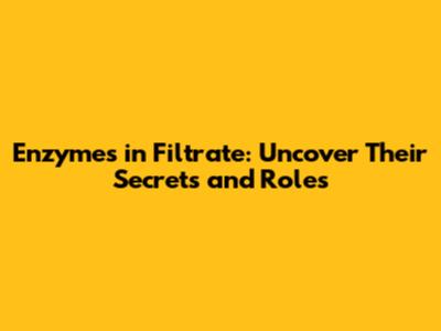 Enzymes in Filtrate: Uncover Their Secrets and Roles