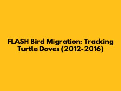 FLASH Bird Migration: Tracking Turtle Doves (2012-2016)
