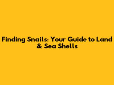 Finding Snails: Your Guide to Land & Sea Shells