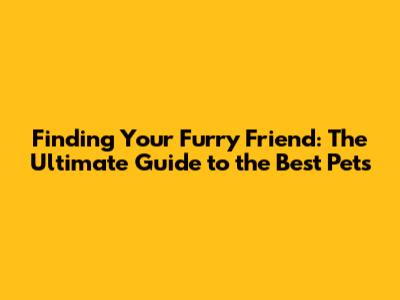 Finding Your Furry Friend: The Ultimate Guide to the Best Pets