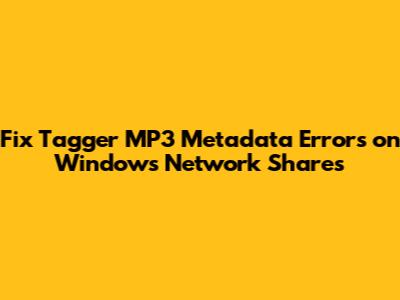 Fix Tagger MP3 Metadata Errors on Windows Network Shares