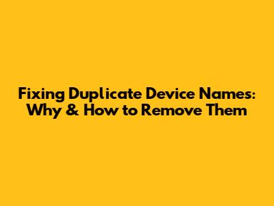 Fixing Duplicate Device Names: Why & How to Remove Them