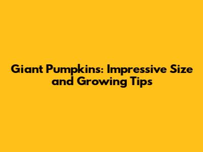 Giant Pumpkins: Impressive Size and Growing Tips
