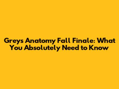 Grey's Anatomy Fall Finale: What You Absolutely Need to Know