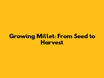 Growing Millet: From Seed to Harvest