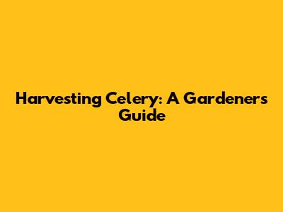 Harvesting Celery: A Gardener's Guide