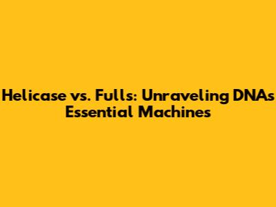 Helicase vs. Fulls: Unraveling DNA's Essential Machines