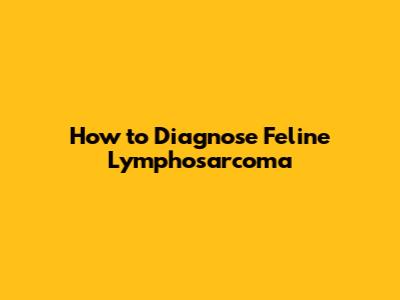 How to Diagnose Feline Lymphosarcoma
