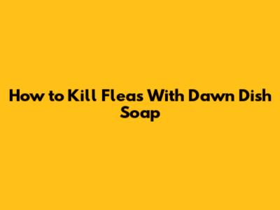 How to Kill Fleas With Dawn Dish Soap