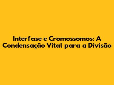 Interfase e Cromossomos: A Condensação Vital para a Divisão