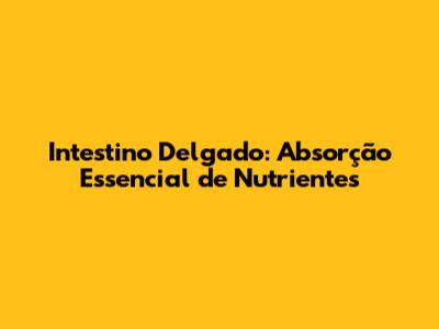 Intestino Delgado: Absorção Essencial de Nutrientes