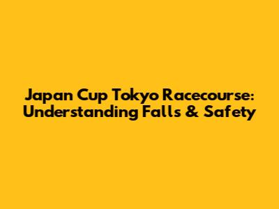 Japan Cup Tokyo Racecourse: Understanding Falls & Safety