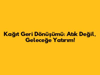 Kağıt Geri Dönüşümü: Atık Değil, Geleceğe Yatırım!