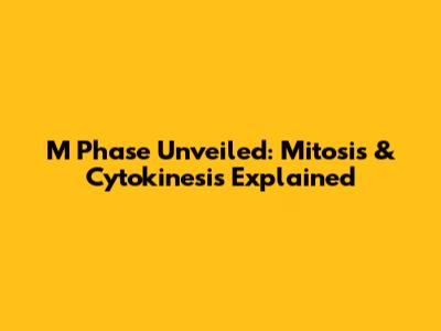 M Phase Unveiled: Mitosis & Cytokinesis Explained
