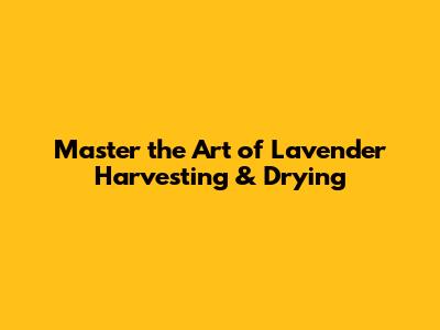 Master the Art of Lavender Harvesting & Drying