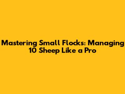 Mastering Small Flocks: Managing 10 Sheep Like a Pro
