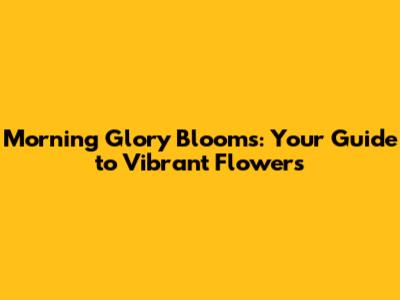 Morning Glory Blooms: Your Guide to Vibrant Flowers