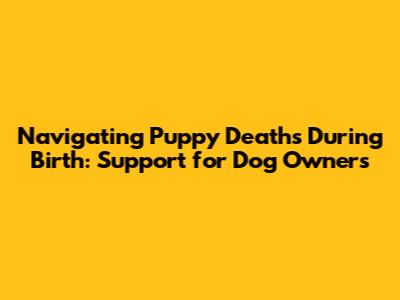 Navigating Puppy Deaths During Birth: Support for Dog Owners