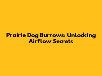 Prairie Dog Burrows: Unlocking Airflow Secrets