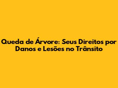 Queda de Árvore: Seus Direitos por Danos e Lesões no Trânsito