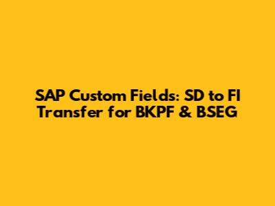 SAP Custom Fields: SD to FI Transfer for BKPF & BSEG