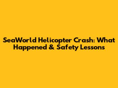 SeaWorld Helicopter Crash: What Happened & Safety Lessons