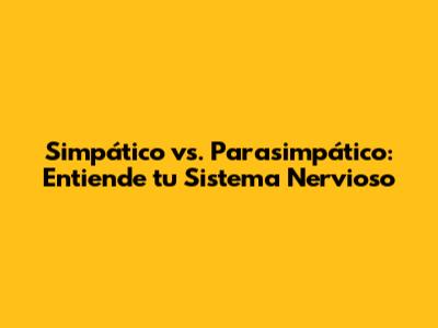 Simpático vs. Parasimpático: Entiende tu Sistema Nervioso