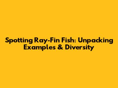 Spotting Ray-Fin Fish: Unpacking Examples & Diversity