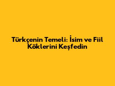 Türkçenin Temeli: İsim ve Fiil Köklerini Keşfedin