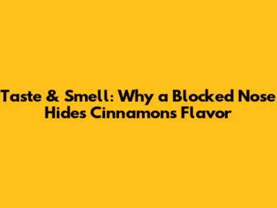Taste & Smell: Why a Blocked Nose Hides Cinnamon's Flavor