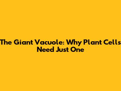 The Giant Vacuole: Why Plant Cells Need Just One